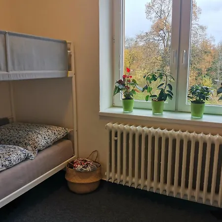 Apartmany Pekna 10 Nova Pec Exterior photo