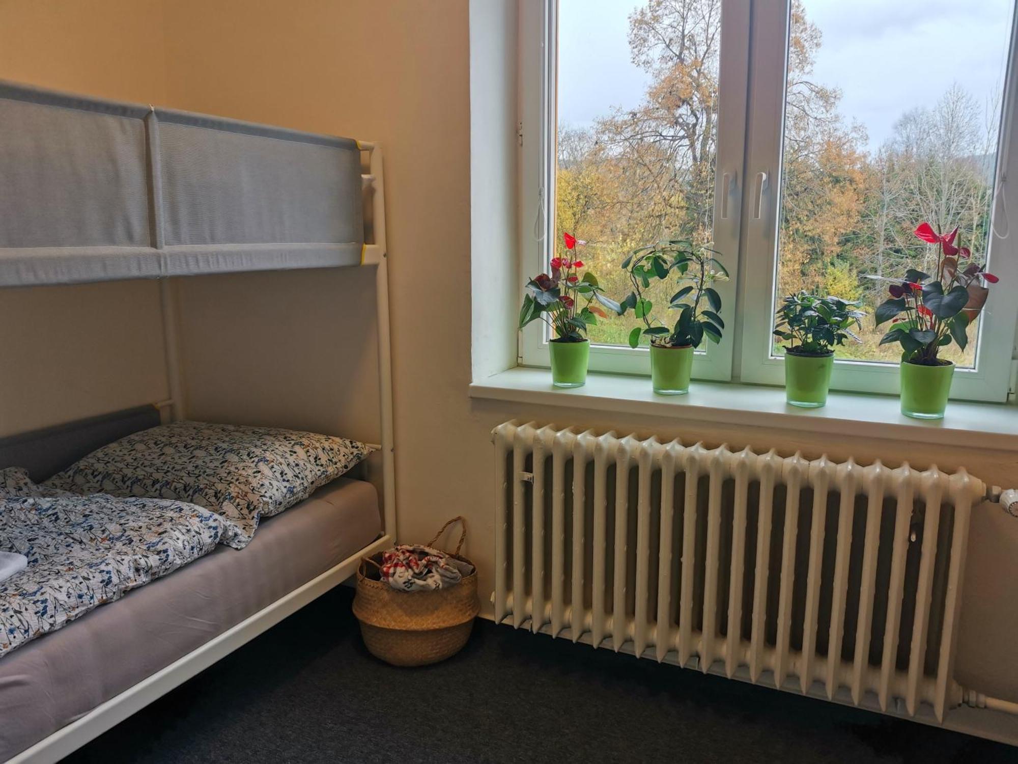 Pekna 10 Apartment *