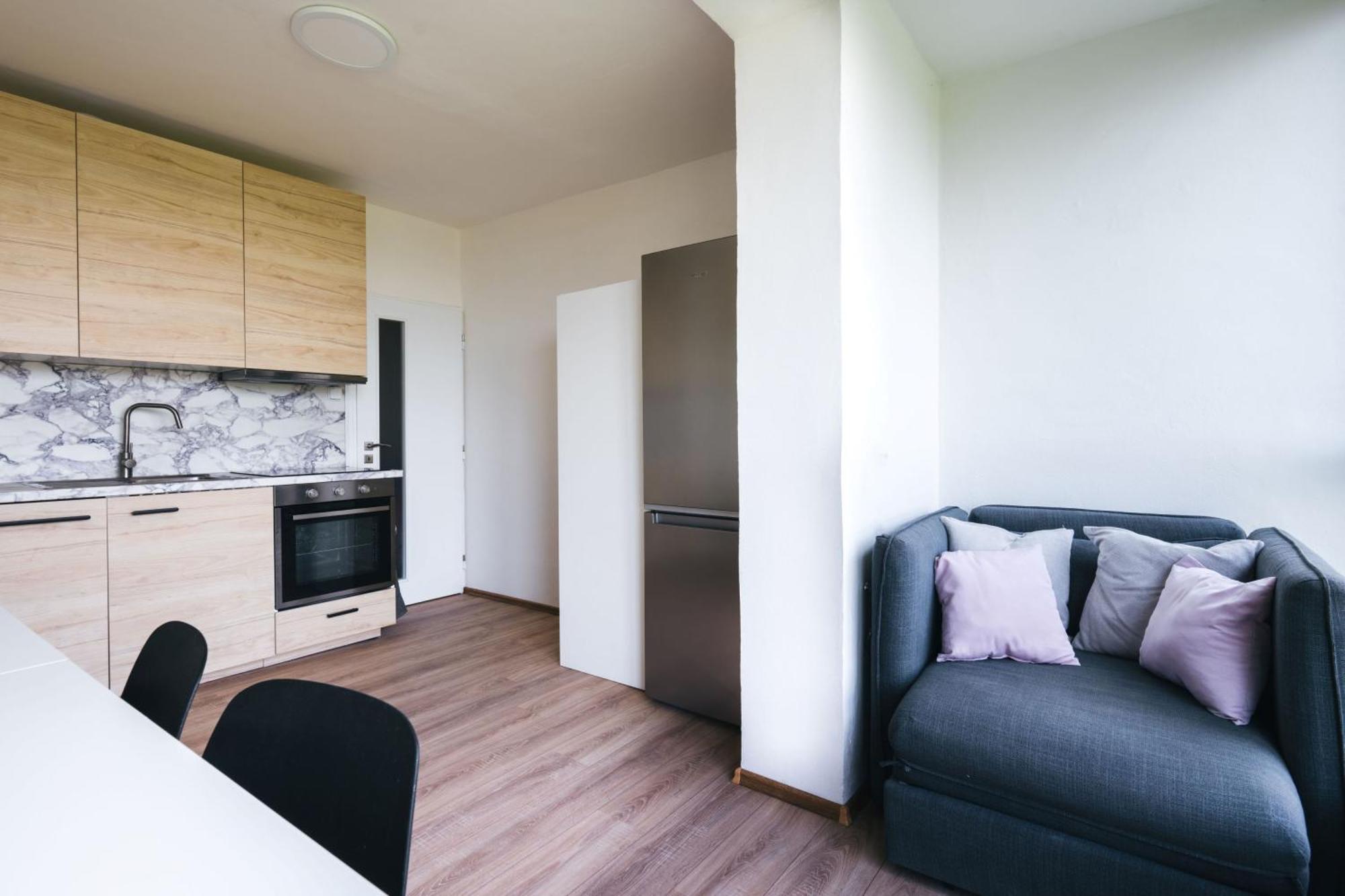 Apartment Pekna 10