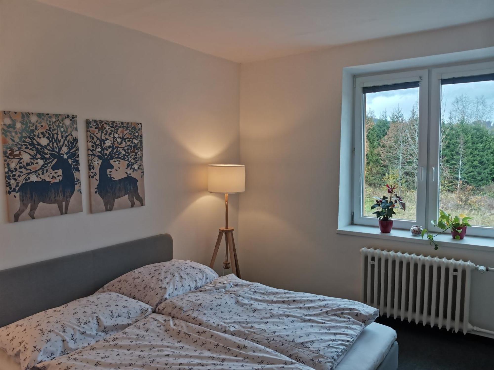 Apartment Pekna 10 Nová Pec